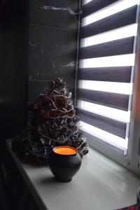 Квартира - студія