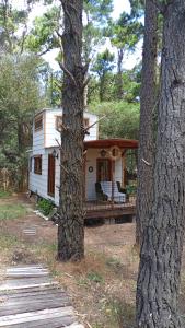 La tinyhouse del bosque