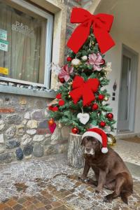 Holiday Home Sovenigo