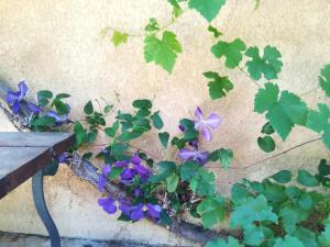 Charmant cocon, jardin, aux portes de Verneuil