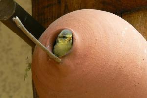 Charmant cocon, jardin, aux portes de Verneuil