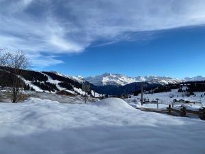 Studio aux Saisies pour 2 pers, proche pistes - FR-1-293-419