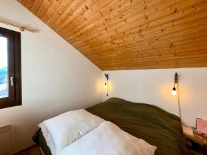 Les Saisies, Duplex pour 5 pers, vue pistes - FR-1-293-418