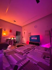 استوديو مميز بأثاث مريح