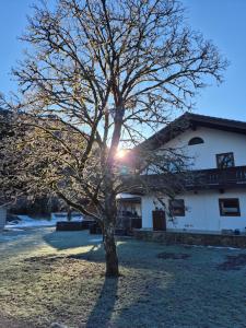 Ferienhaus, Abenteuer, Alpen, Auszeit Ruhpolding