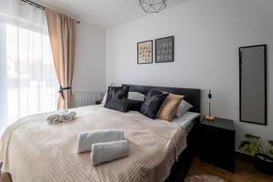 Apartament Czarny Dab