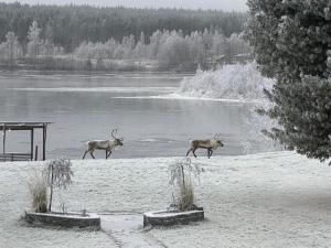Lapland Riverside Home