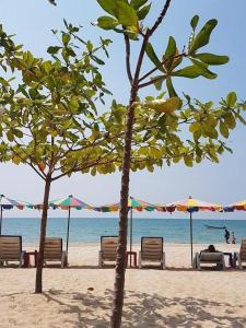 Апартаменты VIP Great Hill