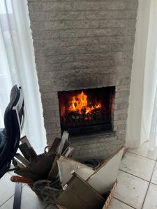 Strand en duinen 331