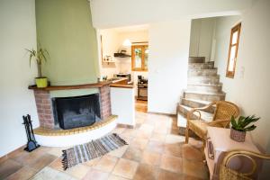 Strix Aluco Kalavryta