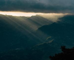 Divine Door Wellness Center