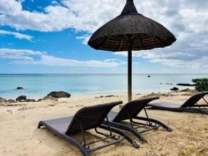 Beachfront Paradise Retreat