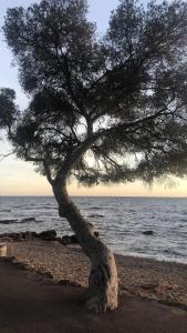 Appartement 2 pers au calme à boulouris