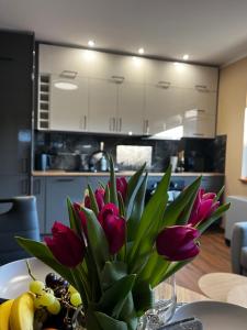 Królówka Zakopane 3