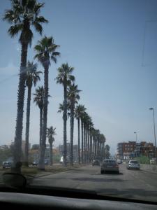 Apartamento para férias 2 minutos da praia Costa da Caparica