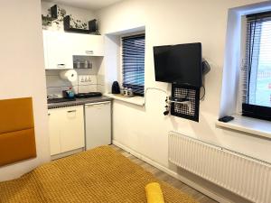 Lemuria Studio Łokietka