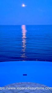 Jardin, piscine pieds dans leau : le paradis sur terre entre Cannes et Saint-Raphaël