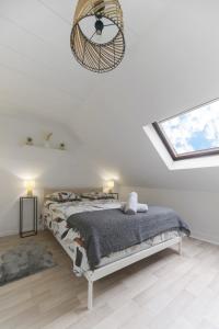 Le Cedre - Appartement cosy dans le centre de Vichy