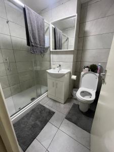 Modern Wembley Apartment Walk to Stadium & Arena