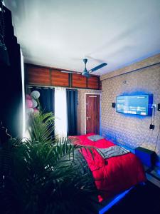 Urban Oasis 1BHK Private