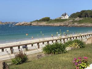 Appartement VUE SUR MER avec terrasse, plage Grève Blanche TREGASTEL - Réf 791