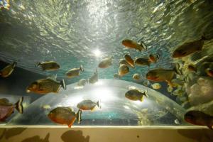 My Copacabana - Praia, Conforto