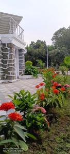 Chavan White House Farm and Stay