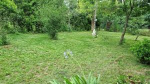 Quinta Alquimia Quintasdelsur en San Vicente