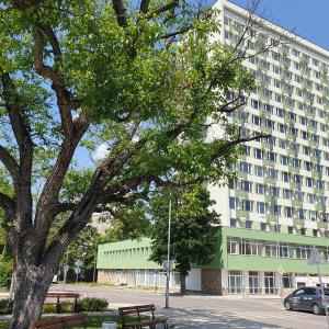 Yantra Tower Studio Maya