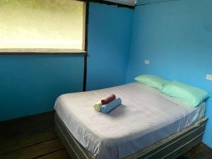 De la rosa y el canto de los pájaros