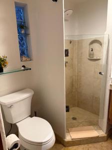 Blue angel 26 a pasos de la 5av y la playa