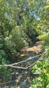 Casa Ampla e Aconchegante em Meio ao Verde