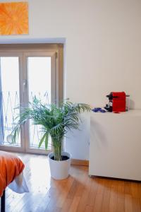 Art Soul Design Suite - Olympic gate&Duomo M3