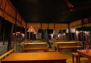 Stylin Campers Eco & Offbeat Glamping Homestay in Digha