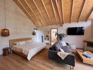 El Pino, Casa Wabi -Pantano de Vargas