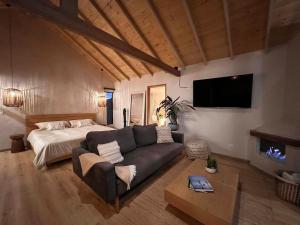 El Pino, Casa Wabi -Pantano de Vargas