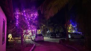 Munroe Mangrove Forest Lake Holidays Resorts