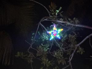 Munroe Mangrove Forest Lake Holidays Resorts