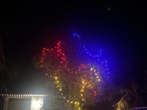 Munroe Mangrove Forest Lake Holidays Resorts