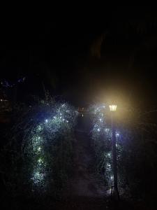 Munroe Mangrove Forest Lake Holidays Resorts