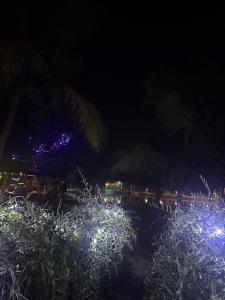 Munroe Mangrove Forest Lake Holidays Resorts