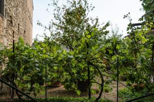 Borgo del Piano "Alloggio Maria"