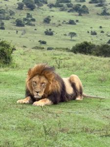 Elephants Lodge - Sundays River Cottages