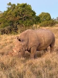 Elephants Lodge - Sundays River Cottages