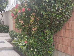 Apartamento Dias de Sol