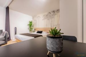 Filatiers - Carmes hypercentre - 1 min du métro