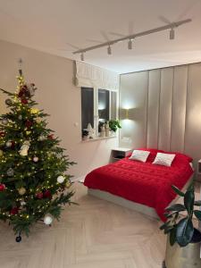 Apartament Kaszmirowy