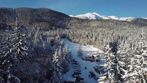 Вила Еделвайс