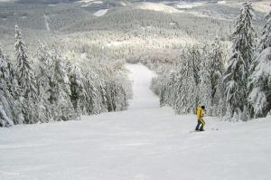 Вила Еделвайс