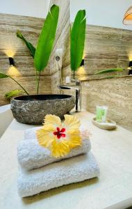 Villas Jardín del Caribe